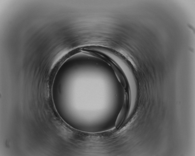 X0000096481069200801311551