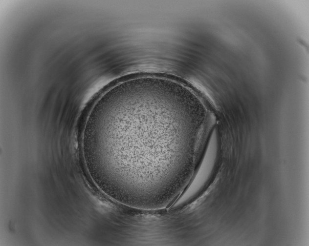 X0000096481070200801311551