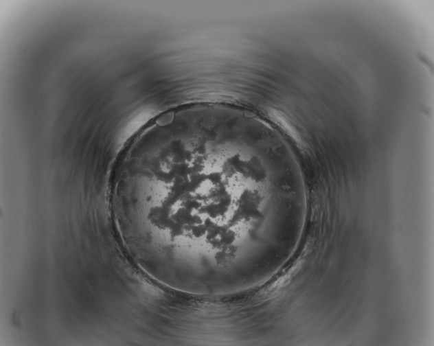 X0000096481071200801311551