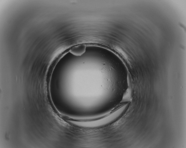 X0000096481072200801311551