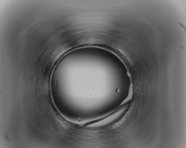 X0000096481073200801311551