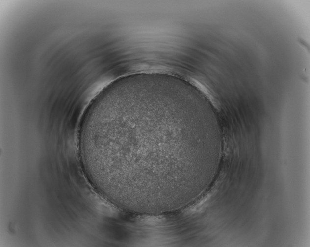 X0000096481074200801311551