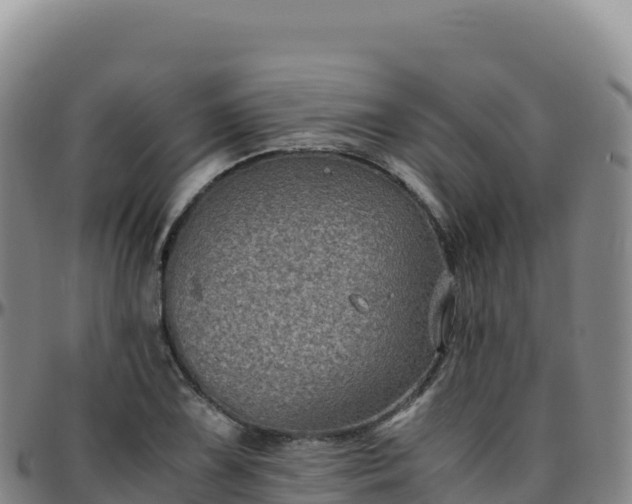 X0000096481075200801311551