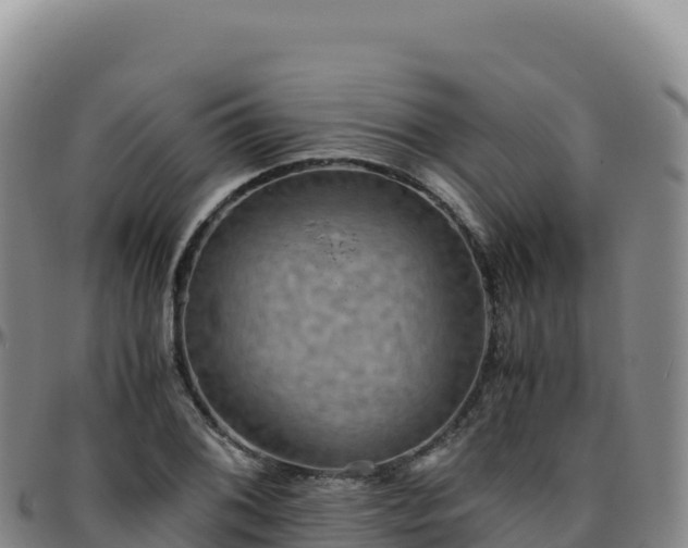 X0000096481076200801311551