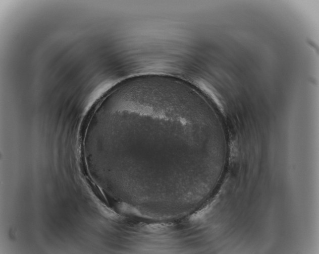 X0000096481077200801311551