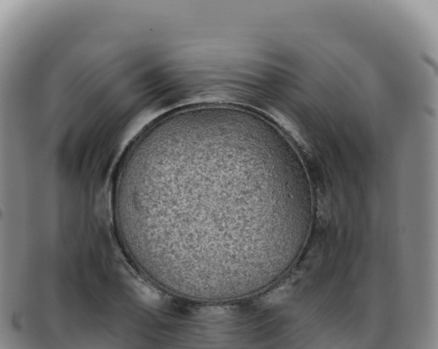 X0000096481078200801311551