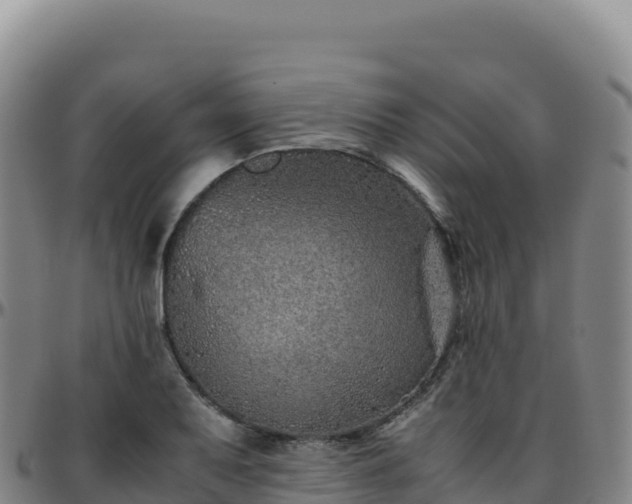 X0000096481079200801311551