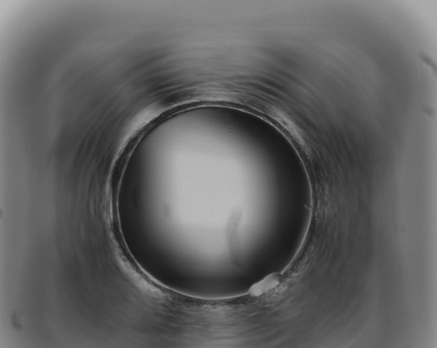 X0000096481080200801311551