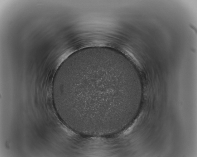 X0000096481081200801311551