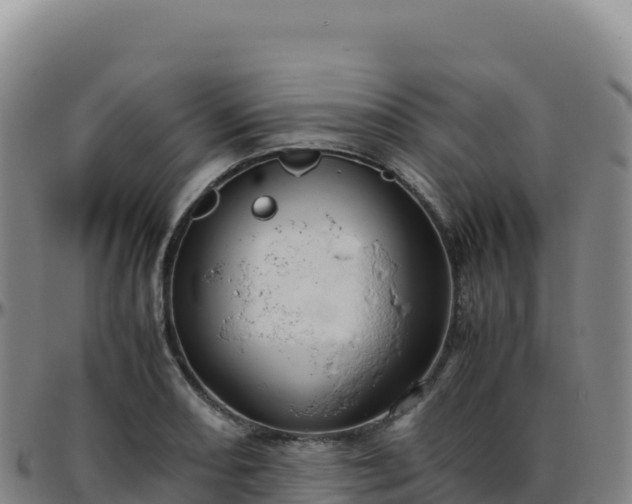 X0000096481082200801311551