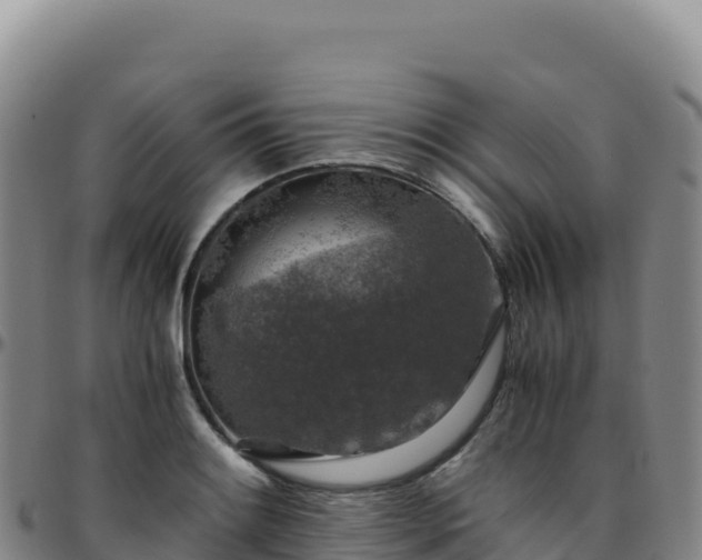 X0000096481084200801311551