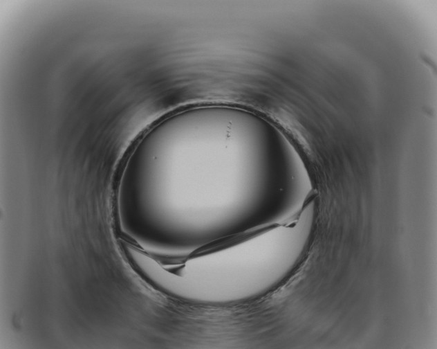 X0000096481085200801311551