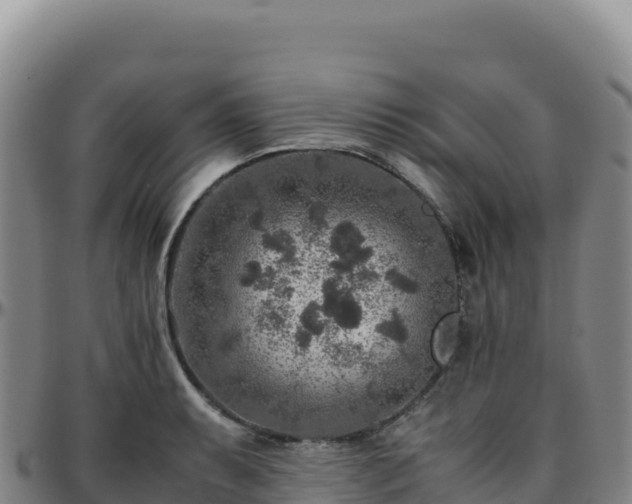 X0000096481087200801311551