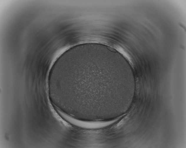 X0000096481088200801311551