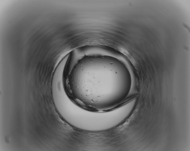 X0000096481089200801311551