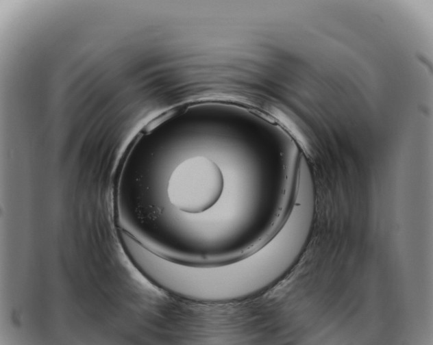 X0000096481092200801311551