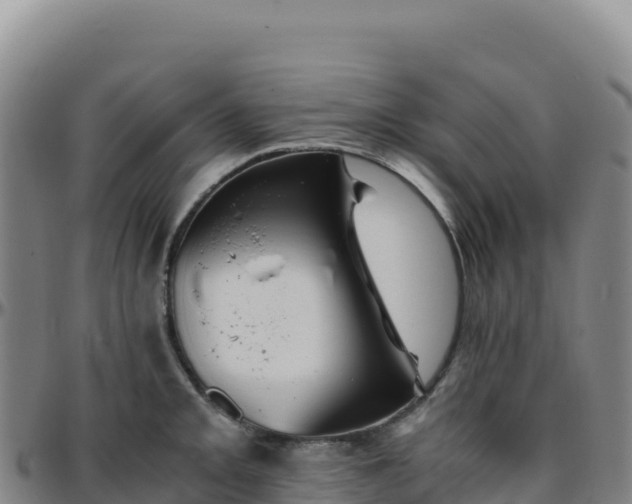 X0000096481093200801311551