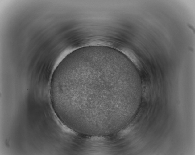 X0000096481094200801311551