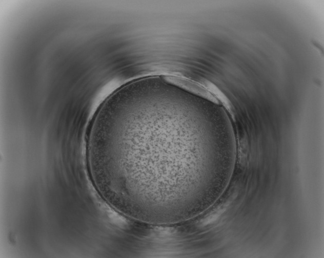 X0000096481096200801311551