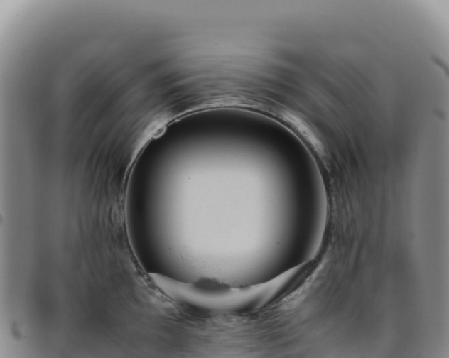 X0000096481097200801311551