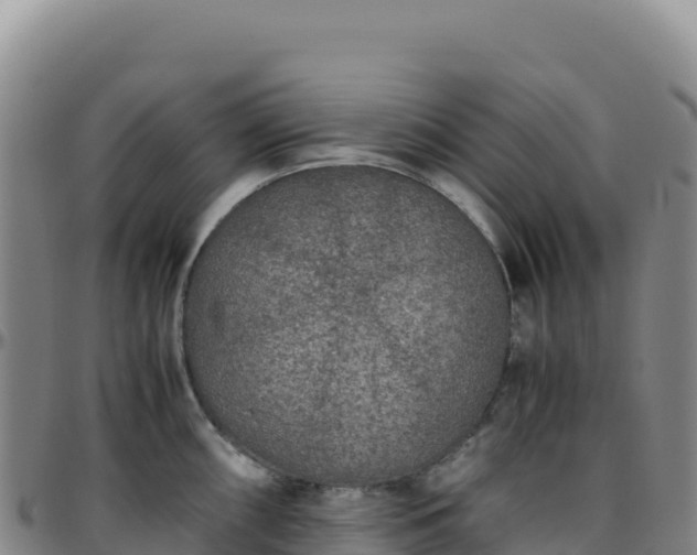 X0000096481098200801311551