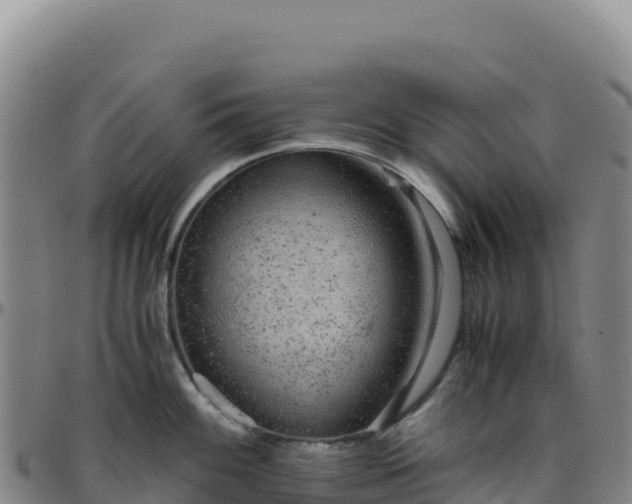 X0000096481100200801311551