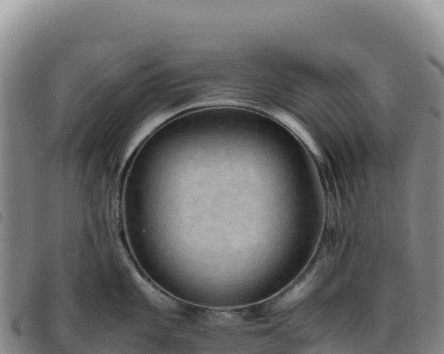 X0000096481101200801311551