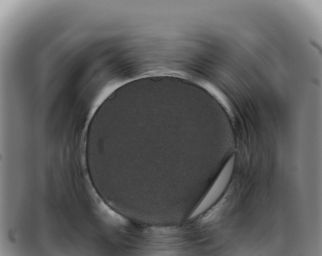 X0000096481102200801311551