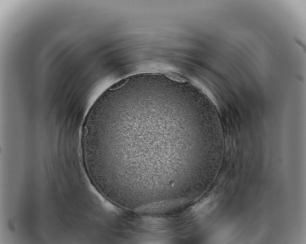 X0000096481103200801311551