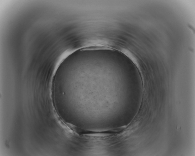 X0000096481104200801311551