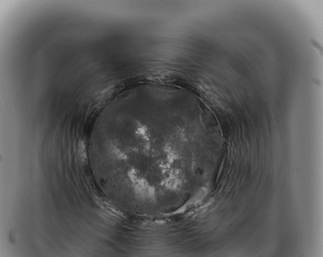 X0000096481106200801311550