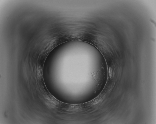 X0000096481107200801311550