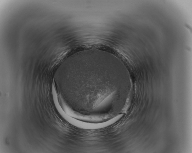 X0000096481108200801311550