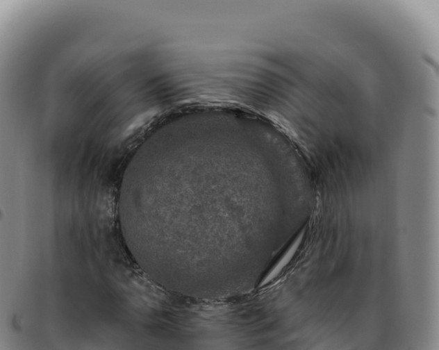 X0000096481110200801311550