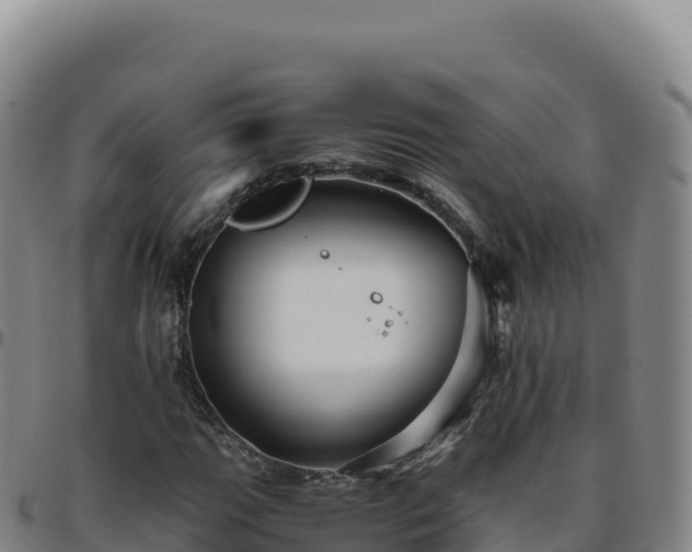 X0000096481111200801311550