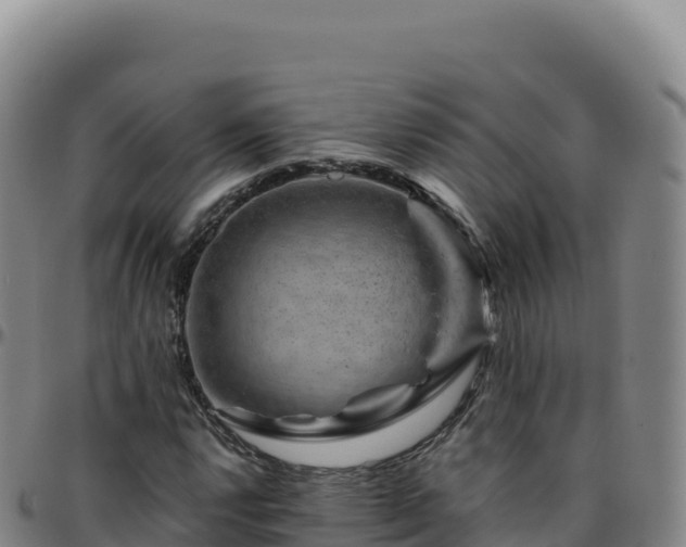 X0000096481112200801311550