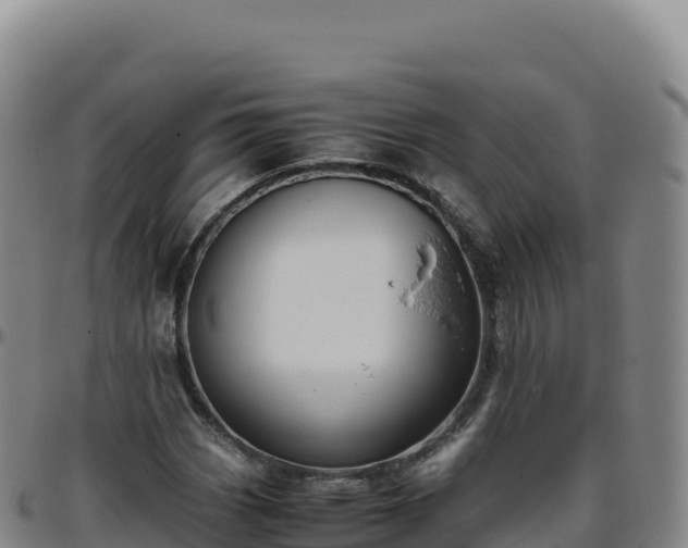 X0000096481113200801311550