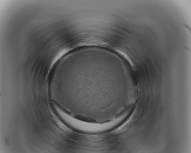 X0000096481114200801311550