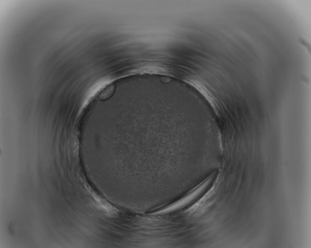 X0000096481115200801311550