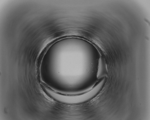 X0000096481116200801311550