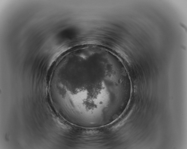 X0000096481117200801311550