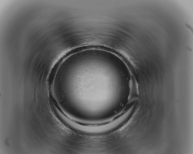 X0000096481118200801311550