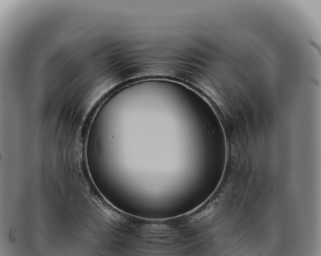 X0000096481119200801311550