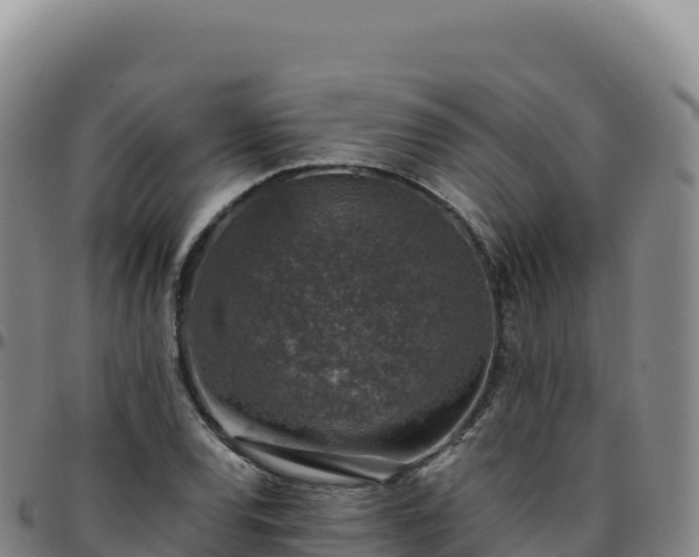 X0000096481120200801311550