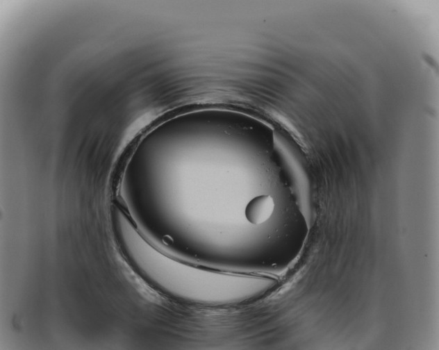 X0000096481122200801311550