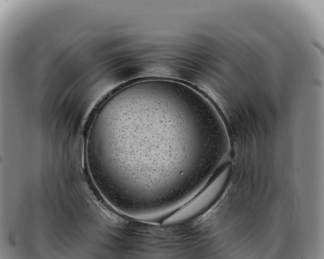 X0000096481123200801311550