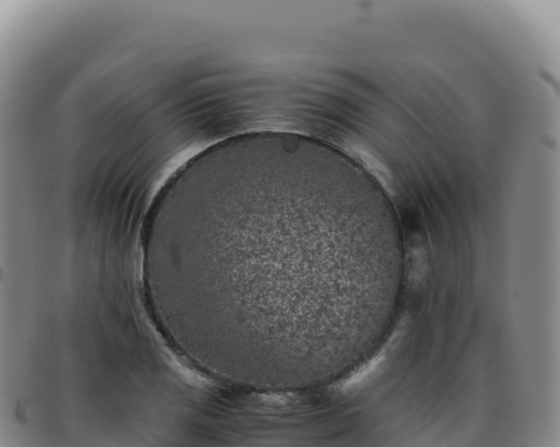 X0000096481125200801311550