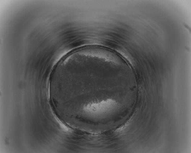 X0000096481127200801311550