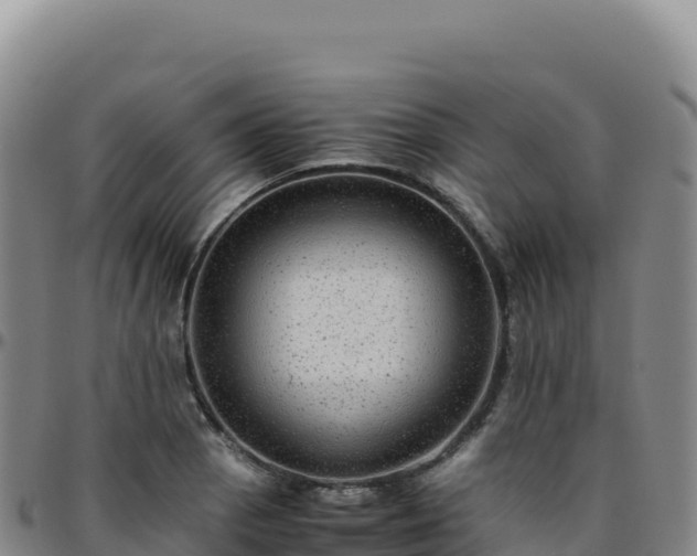 X0000096481129200801311550