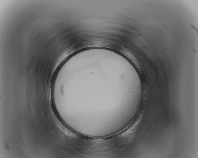 X0000096481130200801311550